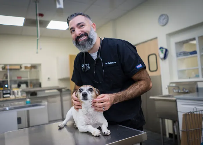 City By The Sea Veterinary Picture 2