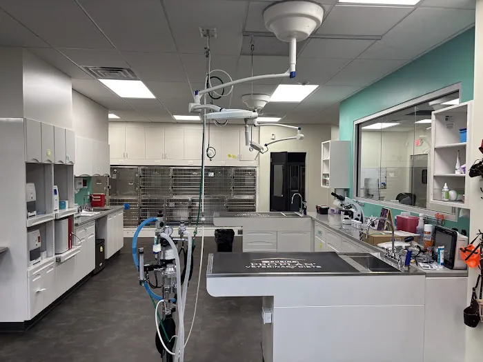 City By The Sea Veterinary Picture 5