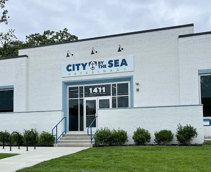 City By The Sea Veterinary Picture 7