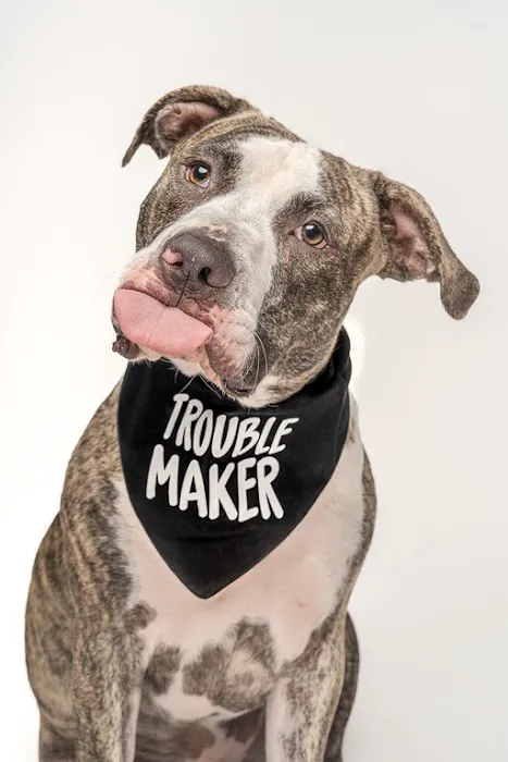 City By The Sea Veterinary Picture 1