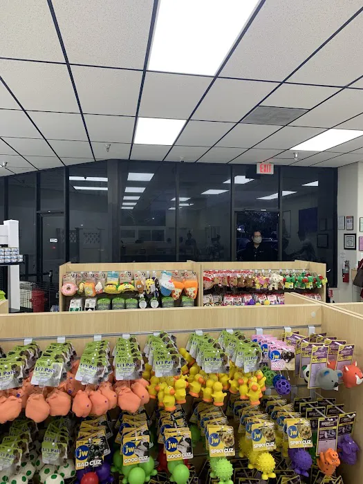 Chews A Puppy Picture 3