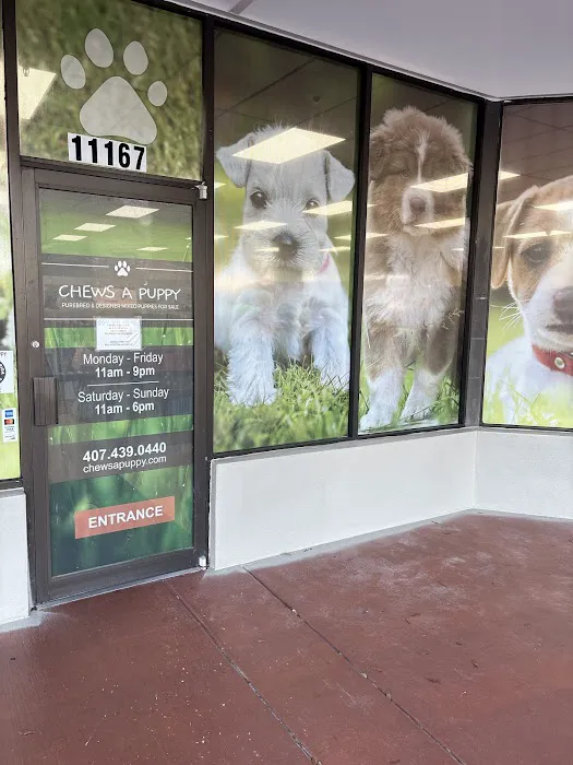 Chews A Puppy Picture 1