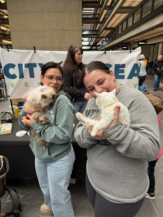 City by the Sea Vet Urgent Care Picture 1