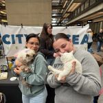 City by the Sea Vet Urgent Care