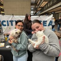 City by the Sea Vet Urgent Care ico