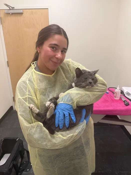 City by the Sea Vet Urgent Care Picture 5