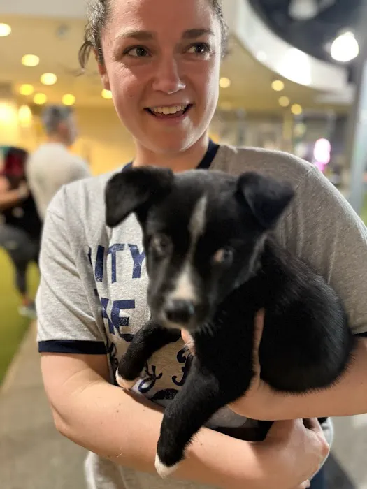 City by the Sea Vet Urgent Care Picture 7