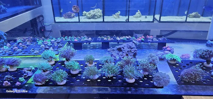 Aquamania Aquarium Store Picture 1