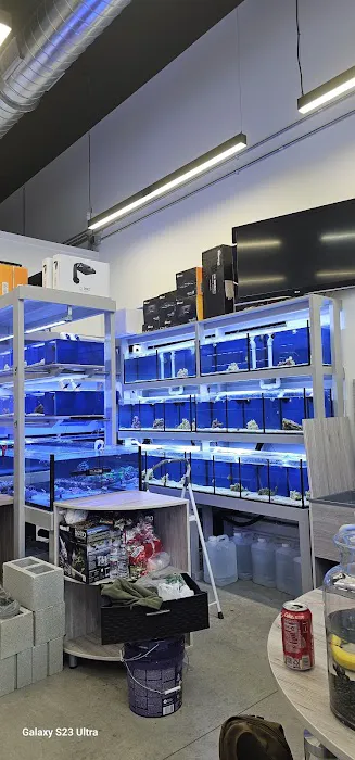 Aquamania Aquarium Store Picture 3