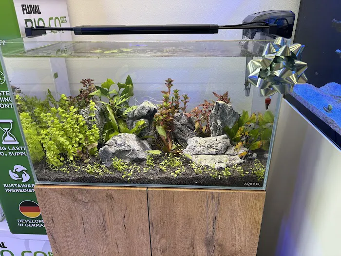 Aquamania Aquarium Store Picture 4