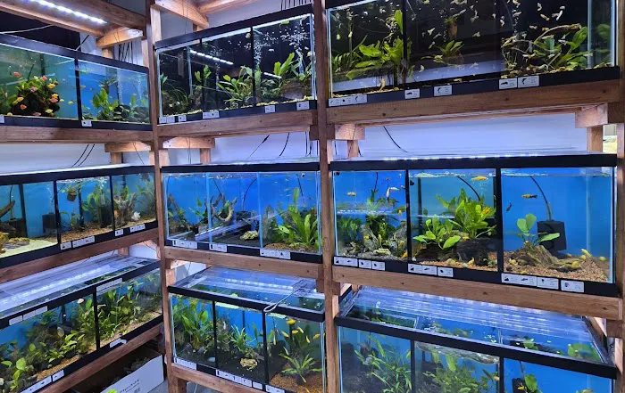 Aquamania Aquarium Store Picture 6