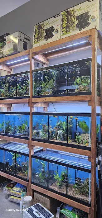 Aquamania Aquarium Store Picture 9