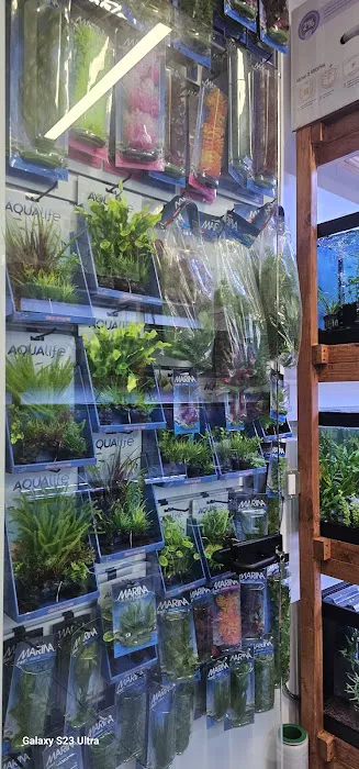 Aquamania Aquarium Store Picture 5