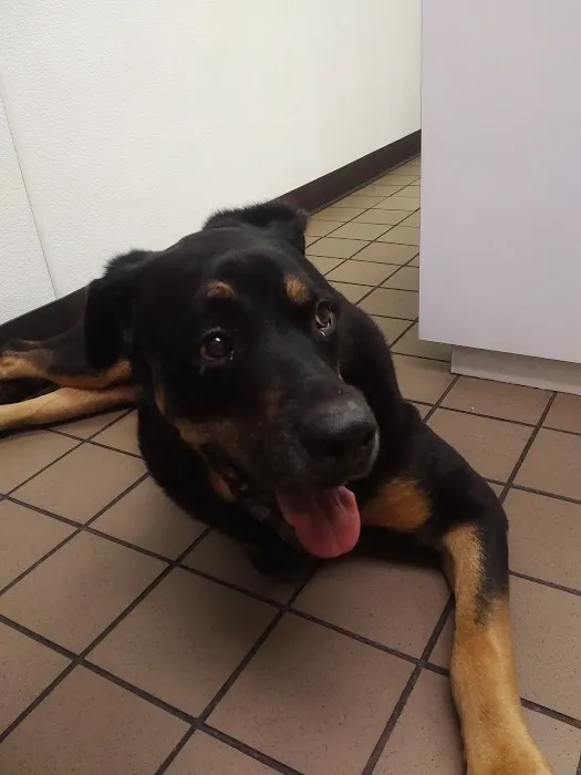 Belmar Wall Animal Hospital Picture 2