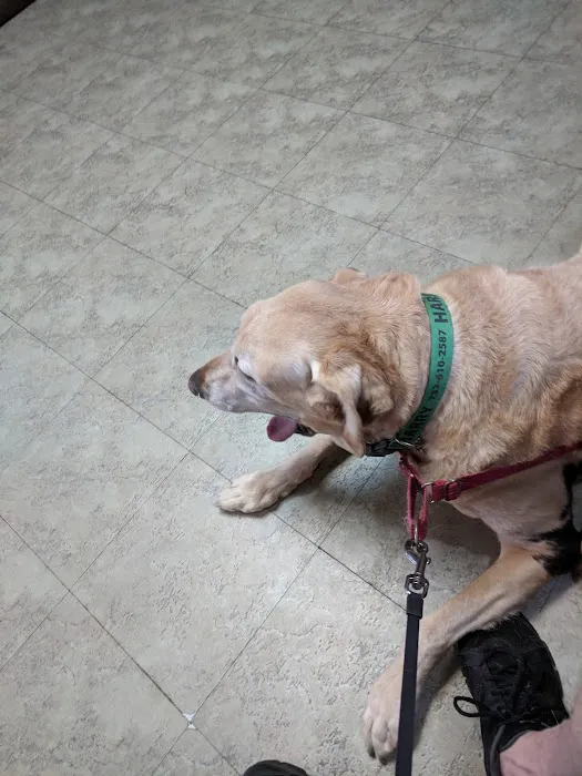 Belmar Wall Animal Hospital Picture 10