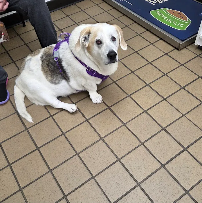 Belmar Wall Animal Hospital Picture 4