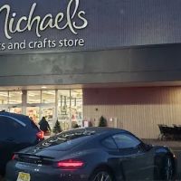 All Paws Veterinary Hospital ico