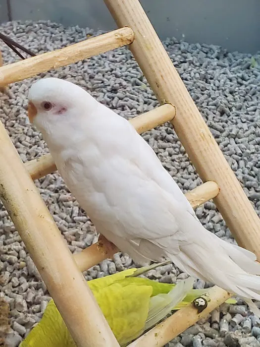 Petco Picture 5