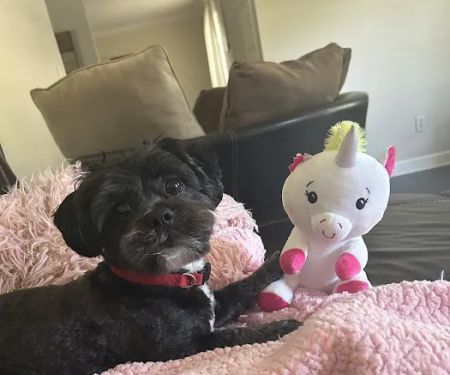 Petco