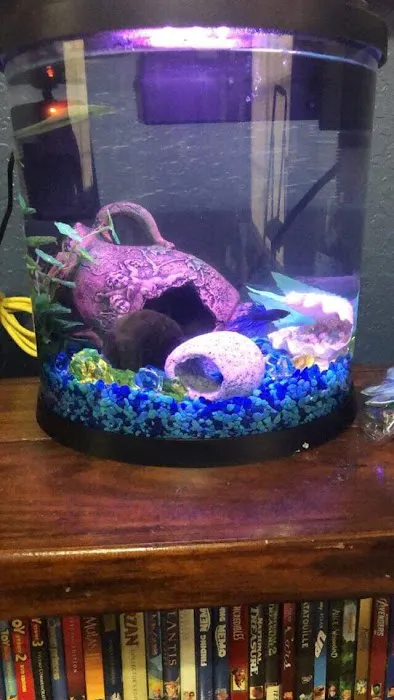 Petco Picture 4