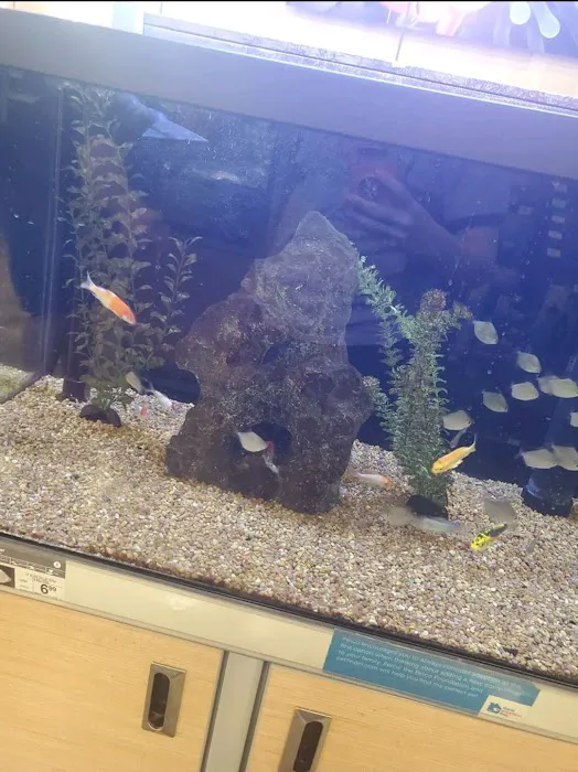 Petco Picture 10
