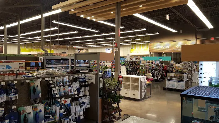 Petco Picture 8