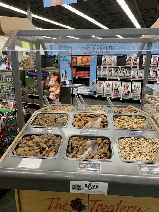 Petco Picture 7