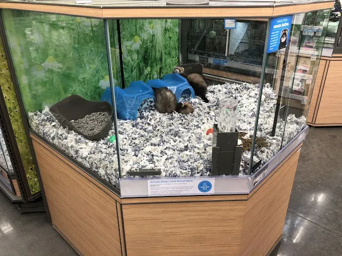 Petco Picture 6