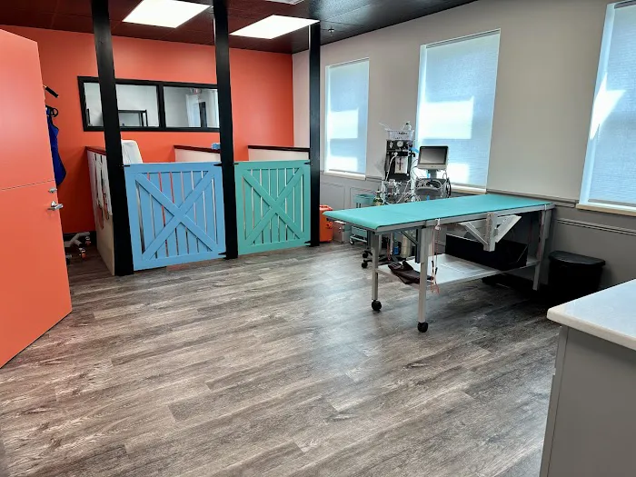 The Doggy Gym Picture 6