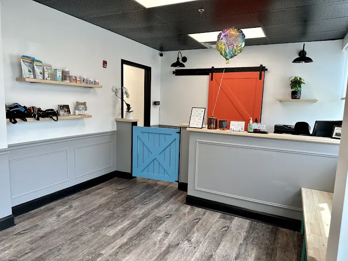 The Doggy Gym Picture 7