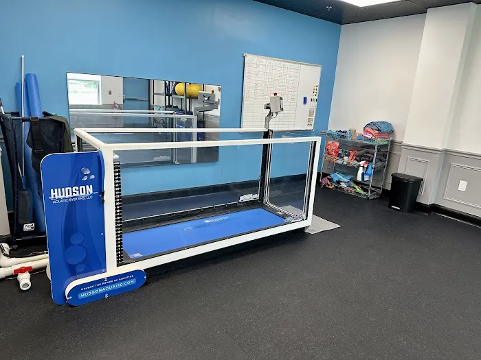 The Doggy Gym Picture 2