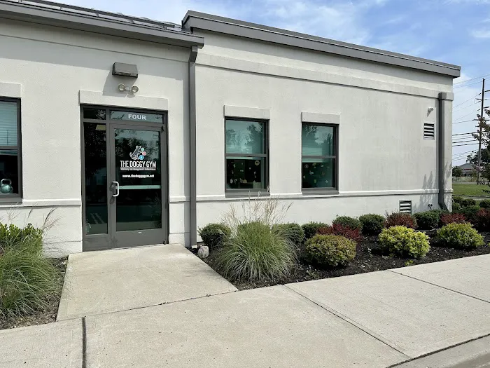 The Doggy Gym Picture 4