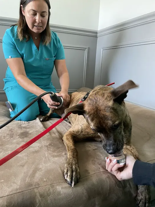 The Doggy Gym Picture 1