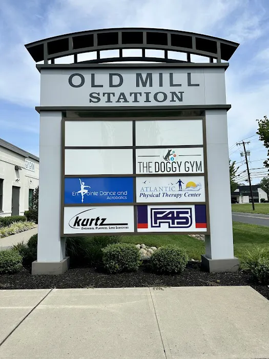 The Doggy Gym Picture 9