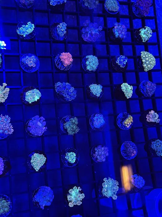 Atlantic Veterinary Hospital Picture 1