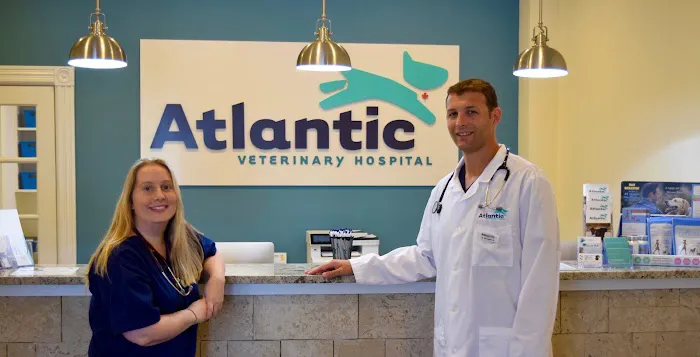 Atlantic Veterinary Hospital Picture 11