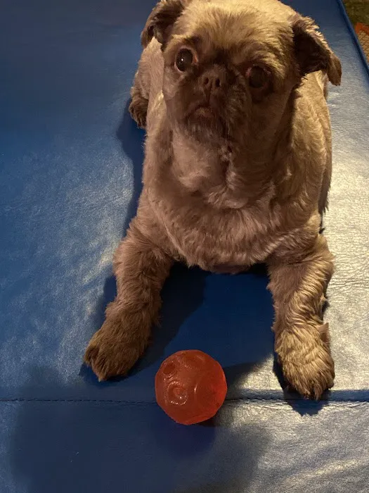 Atlantic Veterinary Hospital Picture 10