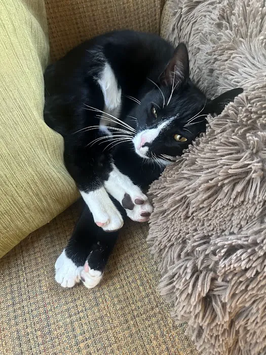 Robbinsville Veterinary Clinic: Swiderski Edward VMD Picture 5