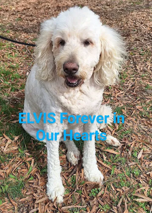 Robbinsville Veterinary Clinic: Swiderski Edward VMD Picture 2