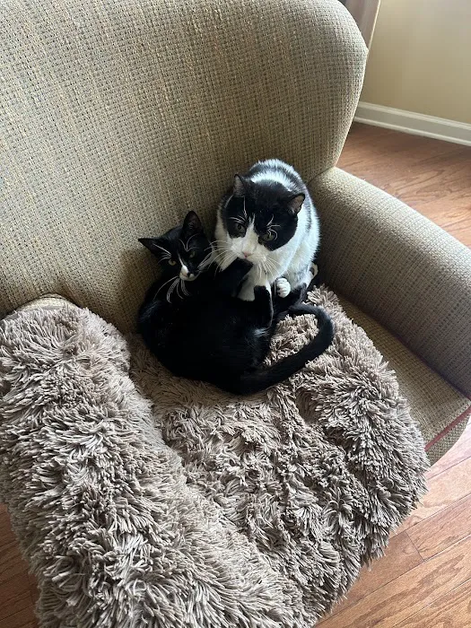 Robbinsville Veterinary Clinic: Swiderski Edward VMD Picture 7