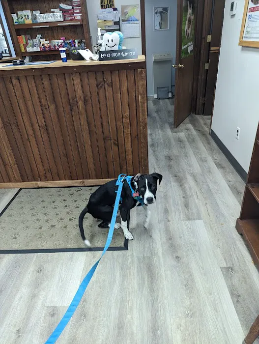 Robbinsville Veterinary Clinic: Swiderski Edward VMD Picture 10