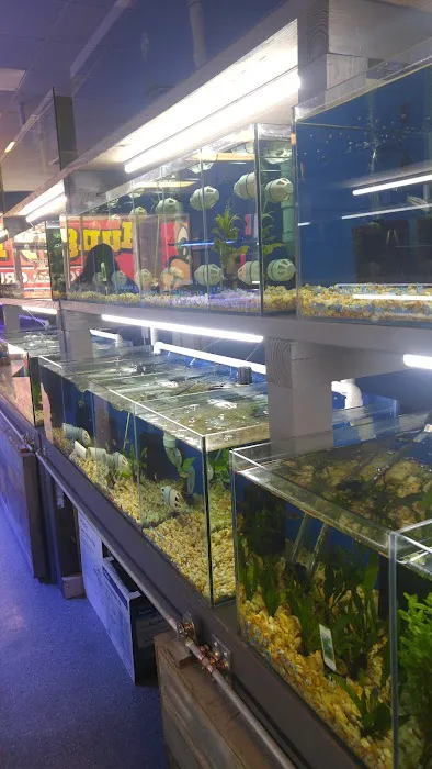 Crabbi Patti's Aquarium Shop Picture 4