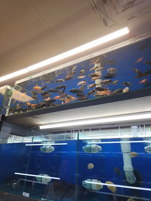 Crabbi Patti's Aquarium Shop Picture 3