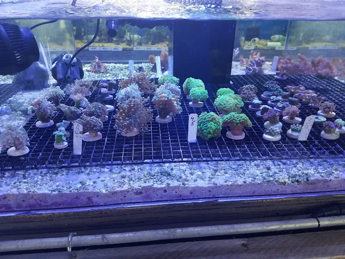Crabbi Patti's Aquarium Shop Picture 9