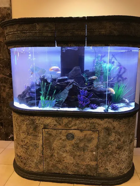 Crabbi Patti's Aquarium Shop Picture 5