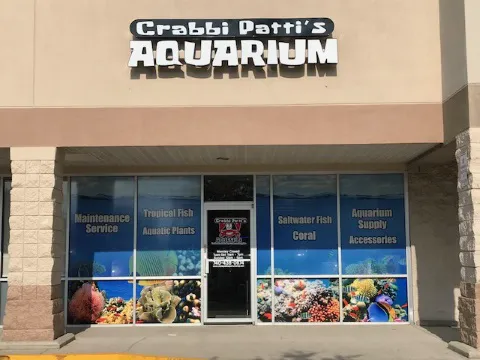 Crabbi Patti's Aquarium Shop Picture 7