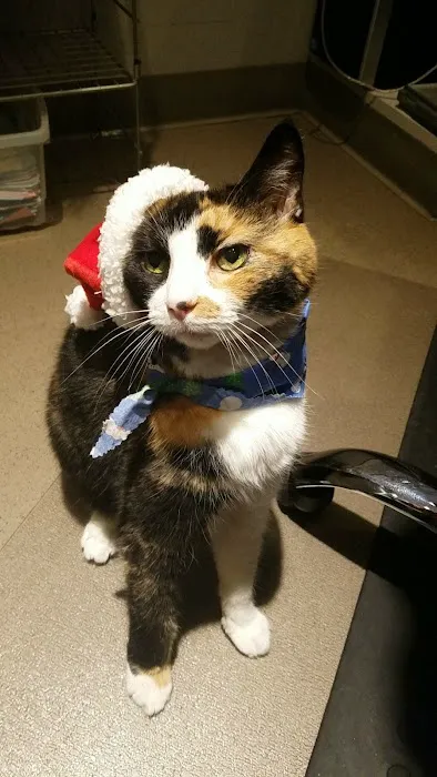 Foxmoor Animal Hospital Picture 2