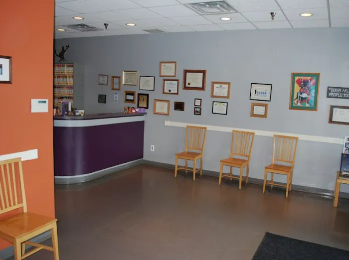 Foxmoor Animal Hospital Picture 6