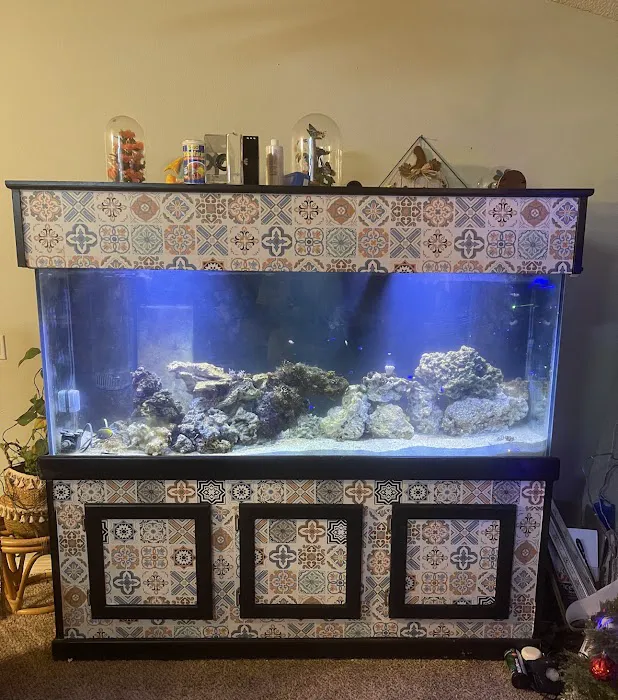 Reefs A Lot Picture 5