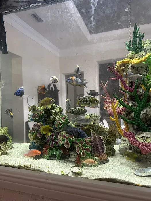 Reefs A Lot Picture 9